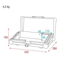 Case for ColorCue 2 Flight Case