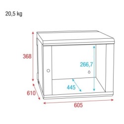 RCA  WMF  6 6U Case rack 19"