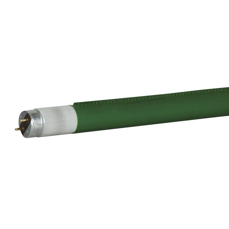 C  Tube T8 1200 mm 121C    Sempreverde    Filtro rapido colore