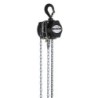 Chain Hoist 250 kg    manual Altezza di sollevamento: 8 metri