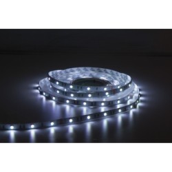 Havana Ribbon RGB 30  24V 5m 5050 led