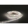 Havana Ribbon 60  24 V 5 m    3528 LED    400  460 Lm/m    2700 K