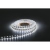 Havana Ribbon 60  24 V 5 m    3528 LED    400  460 Lm/m    3000 K