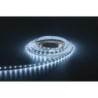 Havana Ribbon 60  24 V 5 m    3528 LED    400  460 Lm/m    4000 K