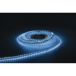 Havana Ribbon 6000K 120  24V 5m 3528 led 760  870 Lm/m