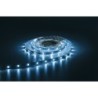 Havana Ribbon 6000K 30  24V 5m 5050 led 504  560 Lm/m