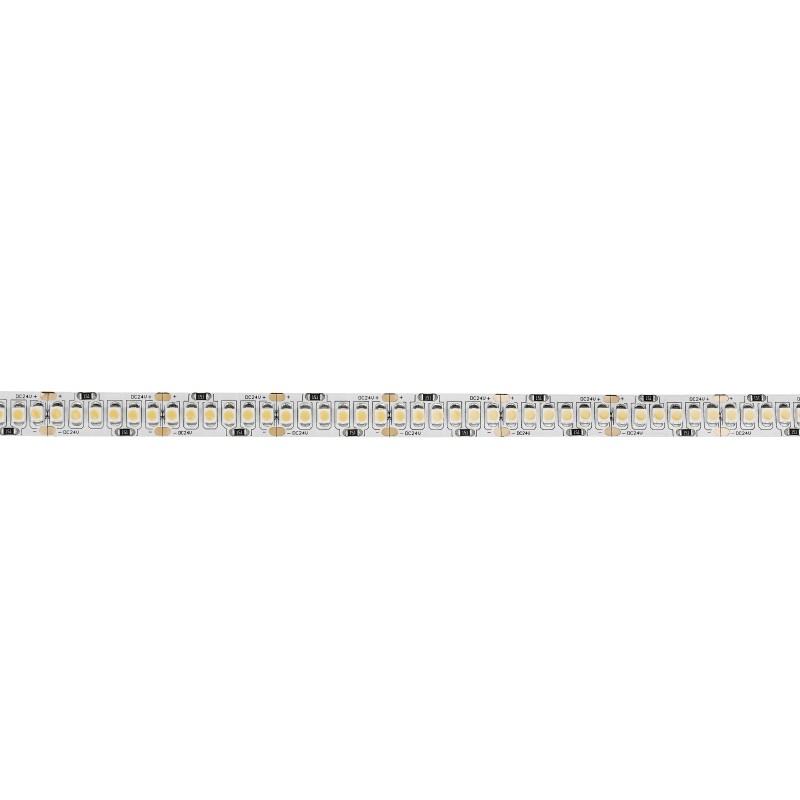 Havana Ribbon 6000K 240S  24V 5m 3528 led 1536  1750 Lm/m