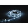 Havana Ribbon 60  24 V 5 m    2835 LED    1200  1290 Lm/m    4000 K