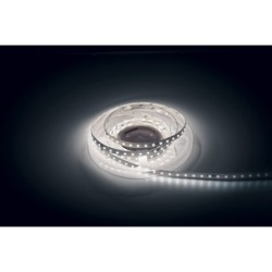 Havana Ribbon 6000K 80  24V 3m 2835 led 1650  1700 Lm/m