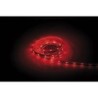 Havana Ribbon Red 30  24V 5m 5050 led colore singolo