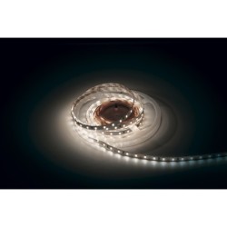 Havana Ribbon 6000K 60  24V 5m 5730 led 1380  1700 Lm/m