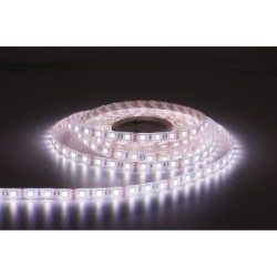 Havana Dropper RGB 30  24V 5m 5050 led