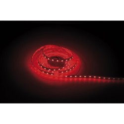 Havana Dropper Red 60  24V 5m 5050 led colore singolo