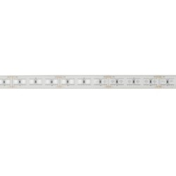 Havana Jade Yellow 120  24V 5m 5050 led colore singolo