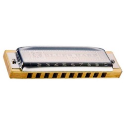 BLUES HARP SMALL BOX DMAJOR