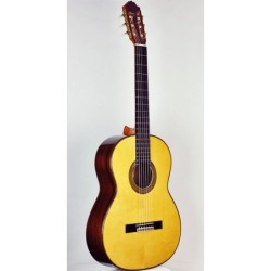 CHITARRA P.BERNABE MOD.20...