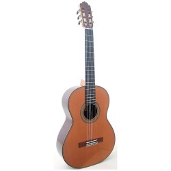 CHITARRA P.BERNABE MOD.15...