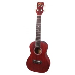 AKTAE UKULELE TENORE CON...