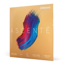 A310 4/4M D'ADDARIO ASCENTÉ...