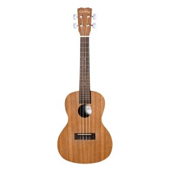 UP100 UKULELE PACK