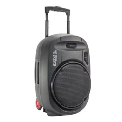 SISTEMA PA PORTATILE DA 15''/2 MICROFONI UHF/USB-MP3/VOX, BLUETOOTH