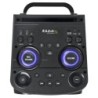 2x10 "+ 2x3" 1000W MEGA HIGHPOWER BOX CON 2 MICROFONI UHF / RC / TWS / BT / USB / microSD / LED