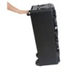 2x10 "+ 2x3" 1000W MEGA HIGHPOWER BOX CON 2 MICROFONI UHF / RC / TWS / BT / USB / microSD / LED